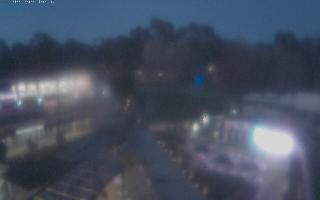 Dawn