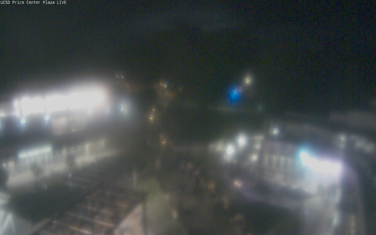 Late Evening